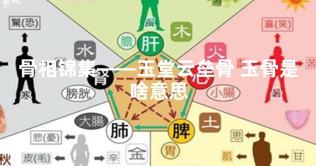 骨相锦集——玉堂云垒骨 玉骨是啥意思